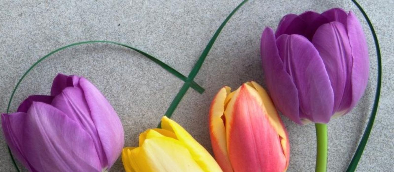 Gifts by talbot  x  px www.talbotcollection.ie_v2